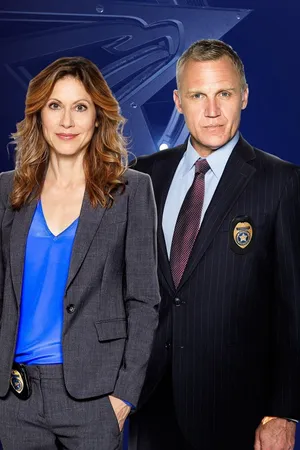 The Inspectors