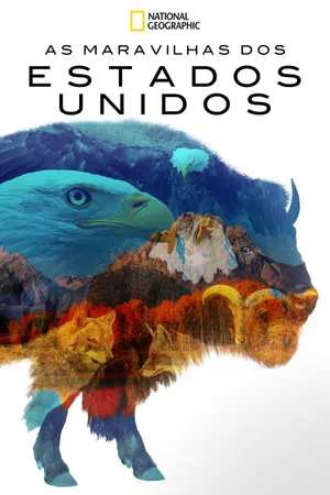 America the Beautiful