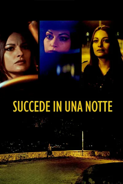Succede in una notte